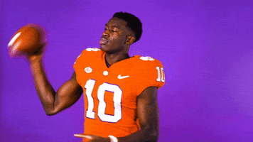 All In Hands GIF by Clemson Tigers