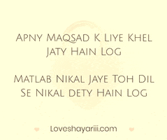 Love Shayari GIF