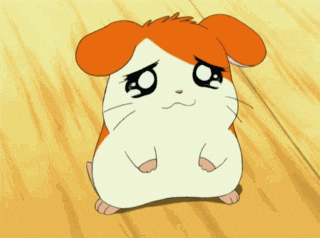 giphy.gif?cid=4d1e4f29flbpgphlwoaw27cb32op780hb8n51gl572xp1zx6&rid=giphy.gif