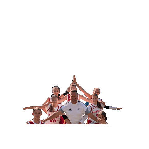Austriaflagfootball Sticker by flag-indians