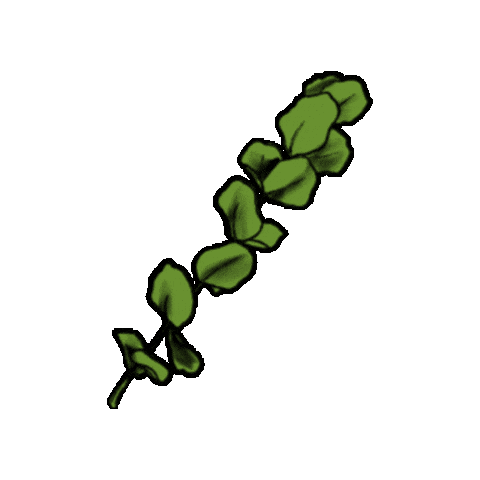 Animated Sticker