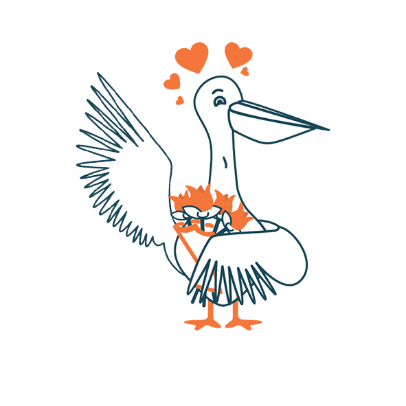 Marius-Peligourmet pelican marius saint valentin peligourmet GIF