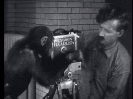 ibluemedia GIF