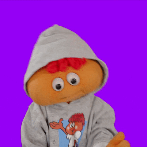 TV gif. Gerbert the puppet throws up his hands as he opens his mouth and shakes his head. Text, "Why?"