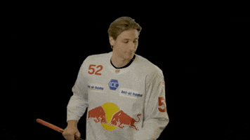 Ice Hockey GIF by EC Red Bull Salzburg