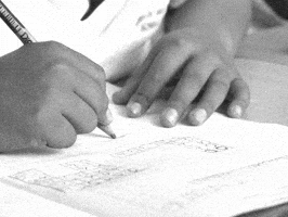 Color Blind Test GIF