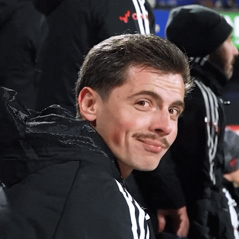 New York Red Bulls Nyisred GIF