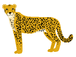 Big Cat Sticker by Manda Creates Pretty