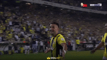 Dusan Tadic GIF by Fenerbahçe