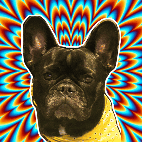 Deal With It GIF by Projekt-AI