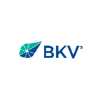 Bkvcorp Sticker by BKV Corporation