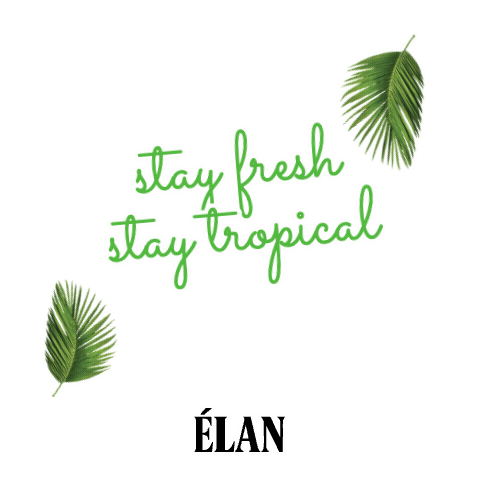 Drinkelan Sticker by ÉLAN