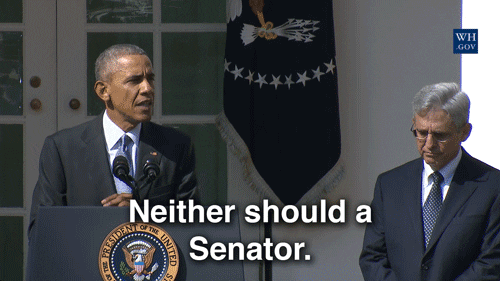 chief judge merrick garland