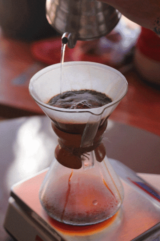 coffee espresso GIF