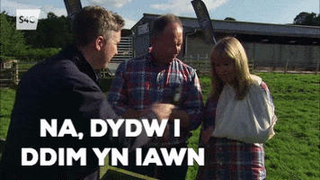 drama queen injury GIF by S4C