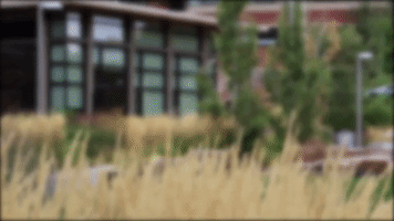200.gif?cid=fc005b08338d1b4e40f4013f16a415379c5938cfa9f451b4&rid=200.gif&ct=g
