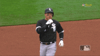 White Sox Tim Anderson GIF - White Sox Tim Anderson Tim Anderson Mc Gregor  - Discover & Share GIFs