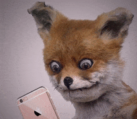 Waiting-on-a-reply GIFs - Get the best GIF on GIPHY