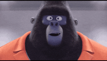 My Son Monkey GIF