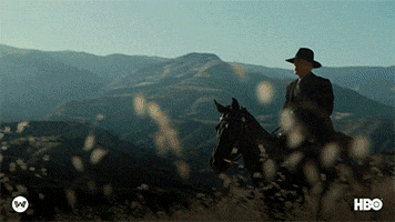 Season 2 Horse GIF by Westworld HBO