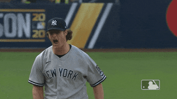 Baseball Screaming GIF by MLB