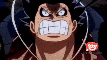 Law Luffy GIFs - Find & Share on GIPHY