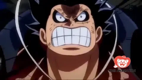 One Piece Law GIF