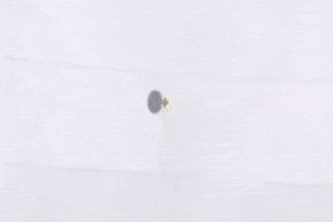 Voltaic Celestial GIF