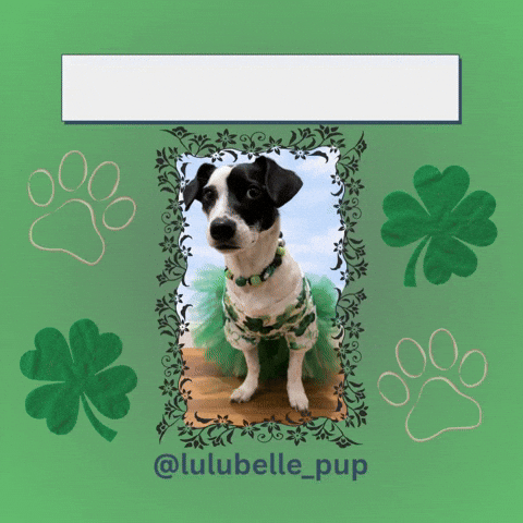Happy St Patricks Day Lulubelle GIF