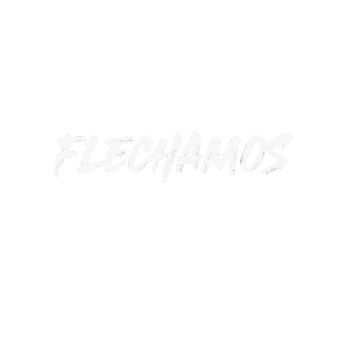 Furia Flecha Sticker