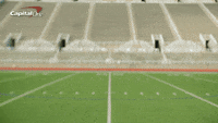 Game Day Touchdown GIF by Capital One Game Day Touchdown GIF by Capital One