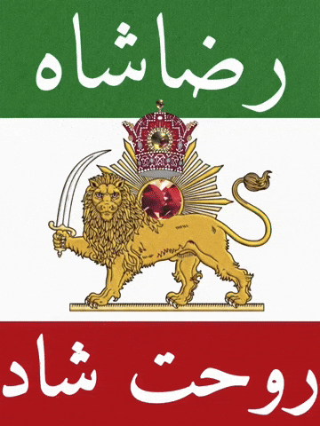 Iran Revolution GIF