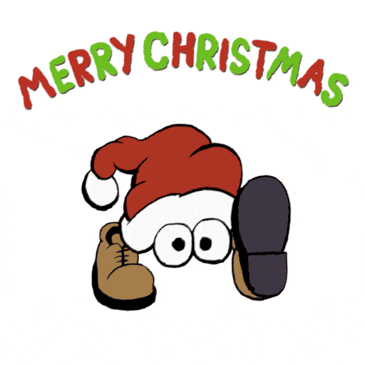 Merry Christmas GIF by aap