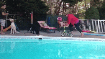 pool fail GIF by America's Funniest Home Videos
