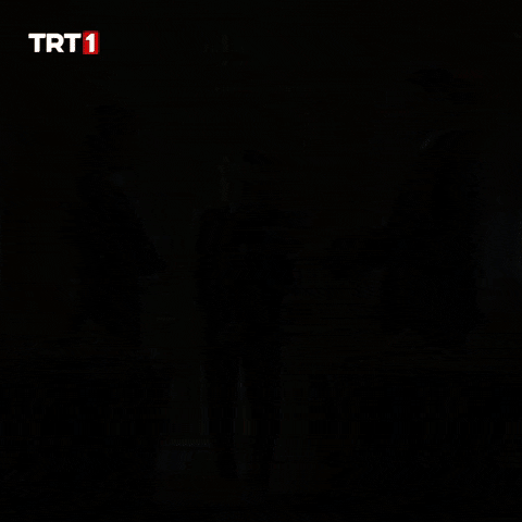 Turk Polis GIF by TRT