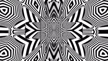 Black And White Art GIF