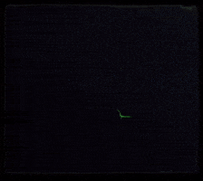 Green Fire GIF by goodjuan