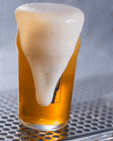 Seektheseal Independentbeer GIF by BrewersAssociation