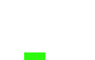 Festival Culture Sticker