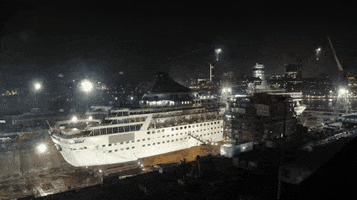 cruise ship robot GIF by Daily Mail Online