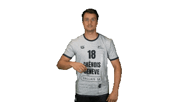 Chenois Sticker by CS Chênois Genève Handball