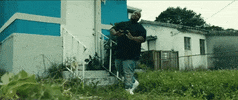 GIF by morray