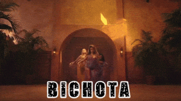 Colombia GIF by Karol G