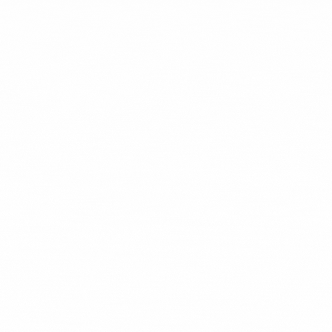 ZRED GIF