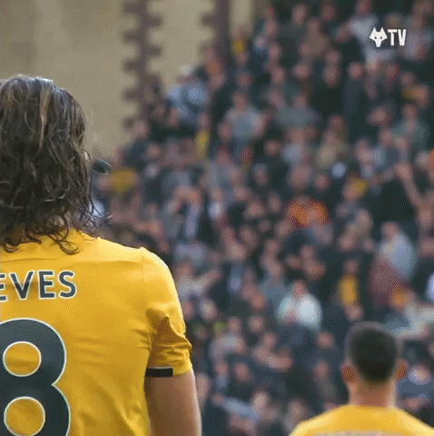 Looking Up Premier League GIF by Wolves