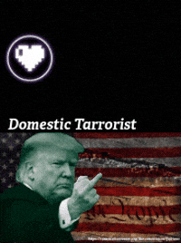 We The People Trump GIF