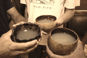 HawaiianAffairs drink cup kava root GIF