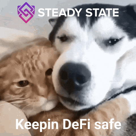 Crypto GIF by Steady State