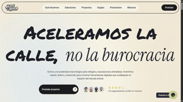 Perros Fundaciones GIF