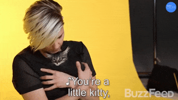 Hannah Hart Kitty GIF by BuzzFeed